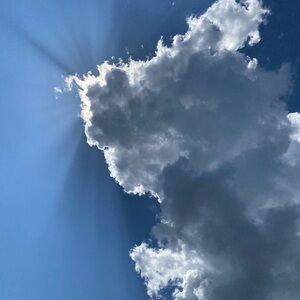 Meet your Posher, HazelSwizzle